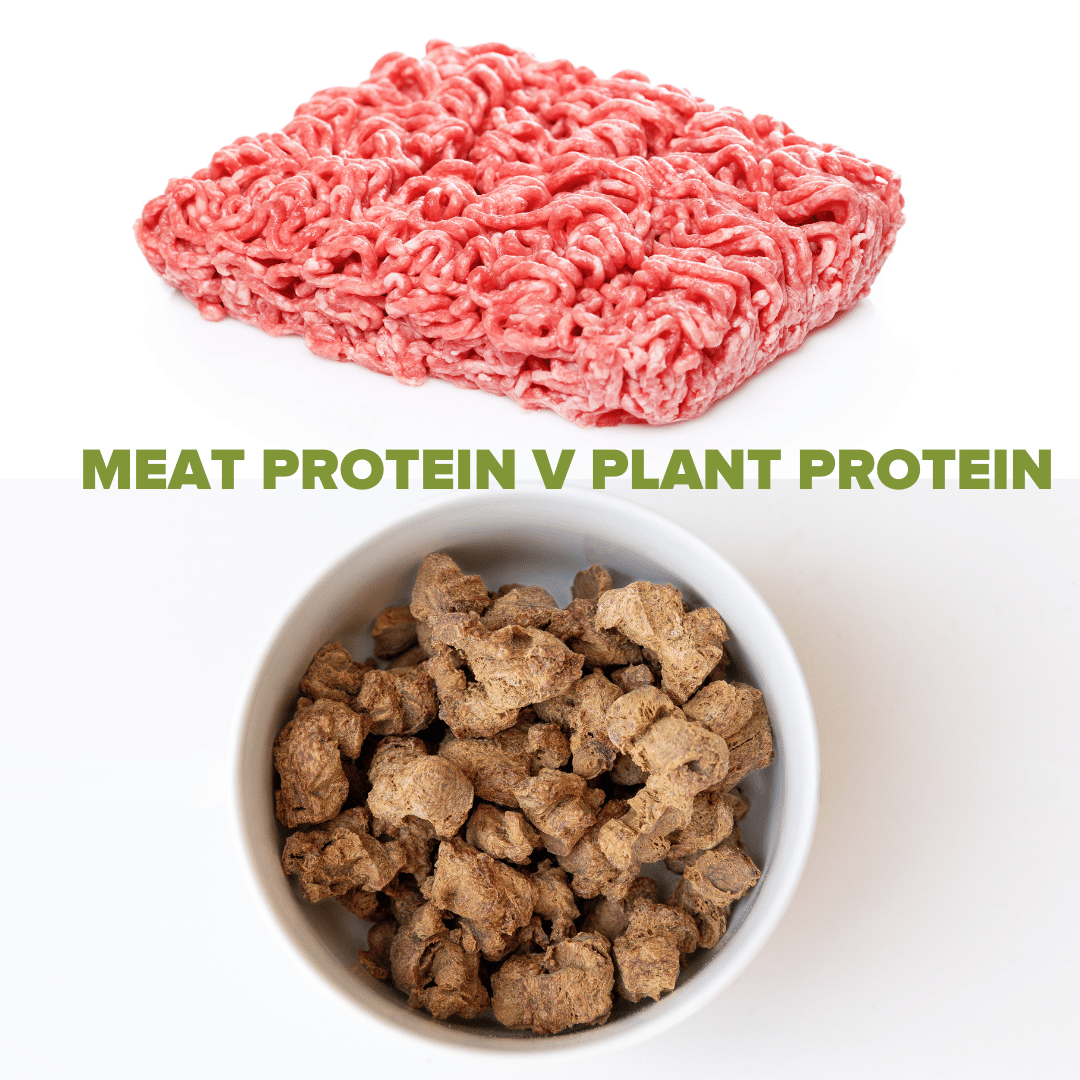 Plant Proteins vs Animal Proteins: what does your dog need?